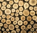 Background from chopped stacked firewood. Natural texture.