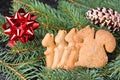 Background with Christmas cookies gingerbread. Centrally in the frame cake in the shape of a squirrel.
