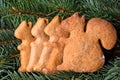 Background with Christmas cookies gingerbread. Centrally in the frame cake in the shape of a squirrel.