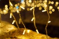 background of Christmas or festive lights with bokeh blur Royalty Free Stock Photo
