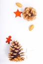 Background Christmas and New year Concept Pine cones and nuts with ceramic decoration