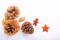 Background Christmas and New year Concept Pine cones and nuts with ceramic decoration