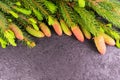 Background of Christmas tree branches with cones on a black textural background. Copy space for text. Royalty Free Stock Photo