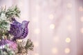 Background from a Christmas tree decorated in blue and purple close-up. Greeting card from a Christmas tree with purple decoration Royalty Free Stock Photo