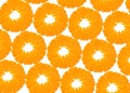 Background with citrus-fruit of orange slices Royalty Free Stock Photo