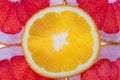 Background of citrus fruit slices of red grapefruit and orange  close up Royalty Free Stock Photo