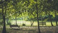 Tranquil Oasis: Spring City Park with Trees, Bench, Island, and Lake