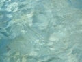 background clean water texture Royalty Free Stock Photo