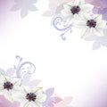 Background of the clematis flower illustration