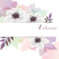 Background of the clematis flower illustration