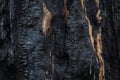 Background, close-up of burned wood. Charred tree, burnt wood texture