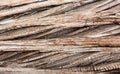 Background close up of cedar trunk bark Royalty Free Stock Photo