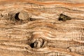 Background close up of cedar trunk bark Royalty Free Stock Photo