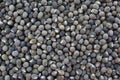 Close up of many okra seeds