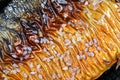 Background Close up Saba fish teriyaki and sesame grilled in restaurant Royalty Free Stock Photo
