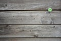 Background and close-up and structure of a weathered gray wooden wall to which a single green button is attached Royalty Free Stock Photo