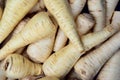 Background and close up of white parsley root