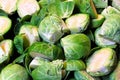 Background of a closeup of organic bussel sprouts Royalty Free Stock Photo