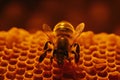 background closeup pollen honey yellow honey macro gold bee nature bee insect. Generative AI. Royalty Free Stock Photo