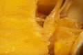 Closeup pulp of the inner part of pumpkin