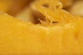Closeup pulp of the inner part of pumpkin