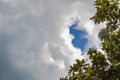 Background of clouds with just a small patch of blue sky showing framed on one side by magnolia leaves on a tree