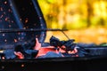 Background coal fire flame hot,  smoke wood Royalty Free Stock Photo