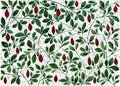 Background with cocoa branches