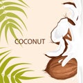 Background with coconuts and palm leaves.Coconut whole and in half with coconut milk. Royalty Free Stock Photo