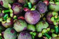 Background of collection of ripe mangosteen