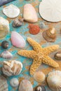 Collection of seashell and starfish Royalty Free Stock Photo