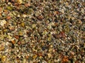 Background of colored river stones or pebbles under water. Top view. Clean and clear water Royalty Free Stock Photo