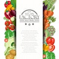 Background with colored vegetables