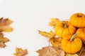 Background of colorful autumn pumpkins and leaves, fall season concept. halloween concept Royalty Free Stock Photo