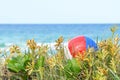 Background colorful beach ball in sand dunes grass of ocean Royalty Free Stock Photo