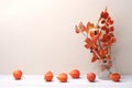 Branches with red leaves in vase and dried plants chinese lantern in interior in autumn time. Royalty Free Stock Photo