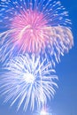 Background colorful Fireworks display Royalty Free Stock Photo