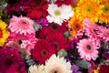 Background of Colorful Floral Arrangement Royalty Free Stock Photo