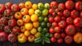 background of colorful fresh tomatoes Royalty Free Stock Photo