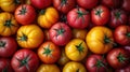 background of colorful fresh tomatoes Royalty Free Stock Photo