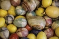 Background of colorful onyx stone eggs of different colors Royalty Free Stock Photo