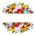 Background with colorful pansy flowers. Vector eps-10.