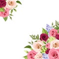 Background with colorful roses. Vector illustration. Royalty Free Stock Photo