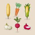 Background with colorful set of realistic vegetables