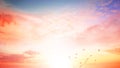 Background of colorful sky concept: Dramatic sunset with twilight color sky and clouds Royalty Free Stock Photo