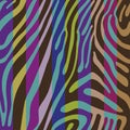 Background with colorful Zebra skin pattern Royalty Free Stock Photo