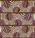 Background with colorful Zebra skin Royalty Free Stock Photo