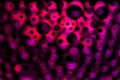 Background of colourful surreal and chaotic abstract light circles. Royalty Free Stock Photo