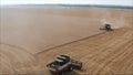 New harvesters on the field collect wheat. Panoramic view on the field of collected wheat. On the background the combine harvester