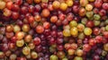 Background Completely Filled with Fresh Grapes Showcasing Their Vibrant Color. This is AI generative image.